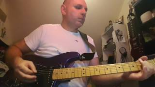 The Fuzztones - She's Wicked (guitar cover)