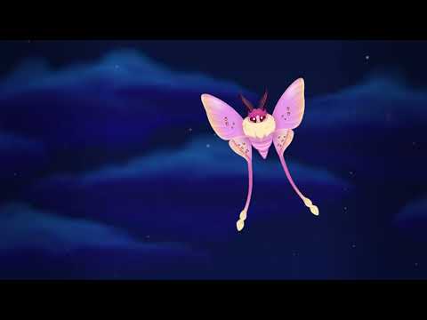 Flutter: Starlight video