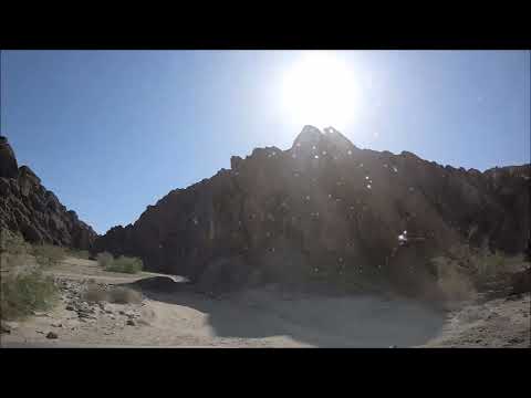 2023-04-14 From Joshua Tree to Ladder Canyon