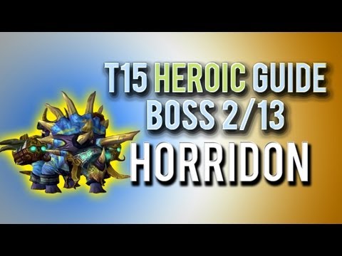 "Horridon" HEROIC Guide → Boss 2/13 in Throne of Thunder