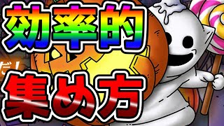 【ドラクエタクト】必見！おばけこぞうの効率的な集め方！【ハロウィンイベント攻略】