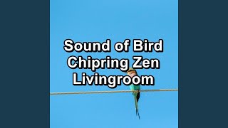 Calming Birds For Deep Sleep Loopable for the Night