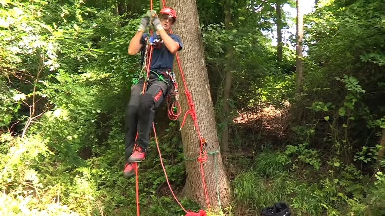 Tree Climbing and Rigging, How to Climg & Rig a Tree