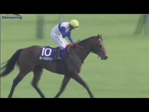 2013 Yasuda Kinen G1 - Lord Kanaloa (龍王) - Y.Iwata