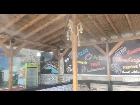 Bahçe Kamelya Serinletme ve Soğutma
