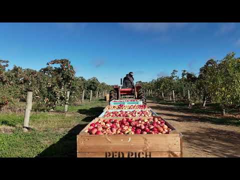 91 Dougan Road, Coomboona, VIC 3629, 0房, 0浴, Lifestyle Property