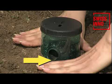 Piège à Limaces SWISSINNO