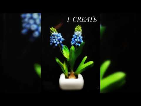 Muscari flower teaser