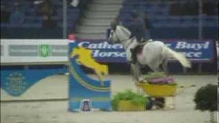 Video von Prinz Clintus