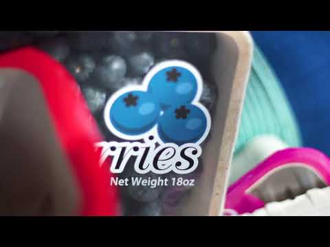 Earthcycle Video 2 Veg & Recycling