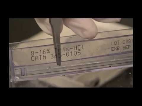 How to Run a 2-D Electrophoresis Gel from Start to Finish