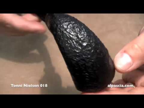 pipa Tonni Nielsen 018 - smoking pipe