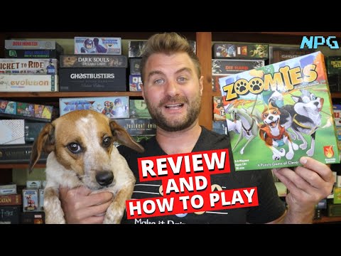 Zoomies Board Game Review and How to Play