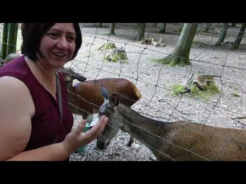 wildpark Hohenstein/ Witten