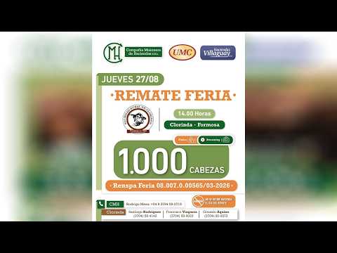 Remate Feria - 1.000 Cabezas - Clorinda (Fsa.)