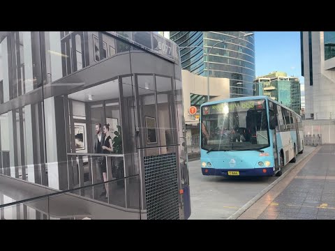 2190ST Transport Vlog 266: [CDC Hillsbus] Double ZF Trip on Volvo B10MA (8466 663 & 715)