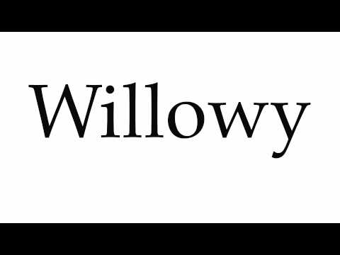 How to Pronounce Willowy