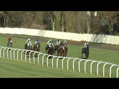 1. dostih - Cena EBF - dostihy Chuchle Arena Praha 21. 11. 2020