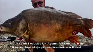 Download lagu Koiland with Angling Paradise mp3 Download lagu Koiland with Angling Paradise mp3