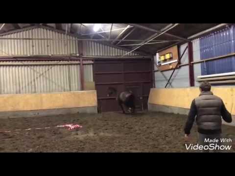 Nerrado x Carpaccio- Mephisto