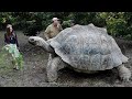 Most Amazing Biggest Turtles In The World