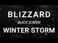 Blizzard Storm Sounds For Sleeping BLACK SCREEN Relaxing Sleep Winter Storm Snow Storm