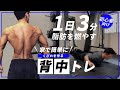 【初心者必見!!!】2週間続けるだけでスッキリ! 3分で綺麗なカッコいい背中を手に入れる背中痩せトレーニング!【ダイエット】