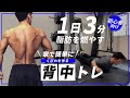 【初心者必見!!!】2週間続けるだけでスッキリ！ 3分で綺麗なカッコいい背中を手に入れる背中痩せトレーニング！【ダイエット】