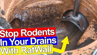 STOP RATS GETTING IN YOUR DRAINS AND HOUSE - Ratwall