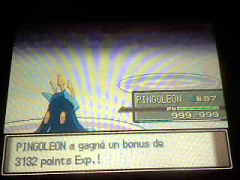 comment participer au show capture dans diamant