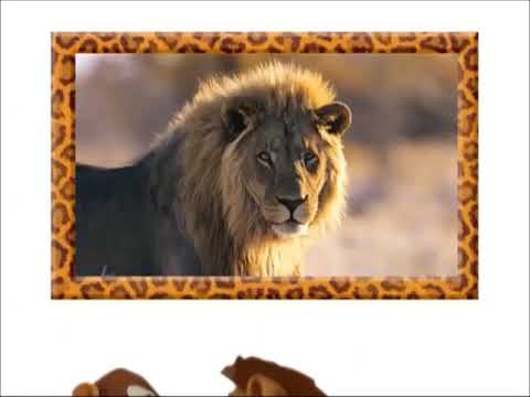 Jordan’s Sound Effects Compilation No.99:Sound Ideas, COMEDY, ACCENT - SLIDE WHISTLE DOWN