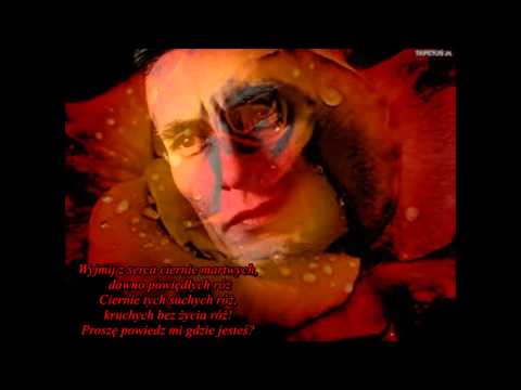 Kali Gibbs - Gdzie jesteś