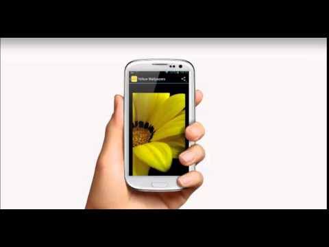 Yellow Wallpapers Video