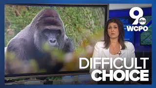 Witnesses describe the moment boy fell into gorilla enclosure