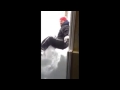 VIDEO 'Jumping Jesus' snowbound video prompts ...