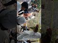 Katyur Devta Jagar Village Nogaon Almora Uttrakhand