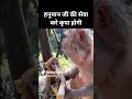 Jai Hanuman Devotionalsongs Hanumanbhajan Hanuman Ram Hanumanchalisa