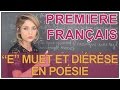 Poésie et vers : compter les syllabes - Français Première - Les Bons Profs