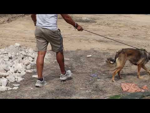 Vídeo de KETTI