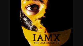 IAMX - The negative sex