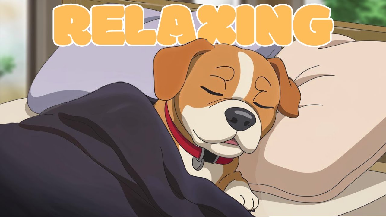 💖 1 Hour Cafe Song 💖 A relaxing day Lofi Hip Hop Radio  / Relax/ Chill / Study / Stress Relief