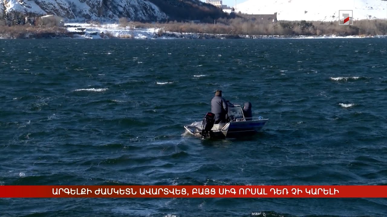 Արգելքի ժամկետն ավարտվեց, բայց սիգ որսալ դեռ չի կարելի