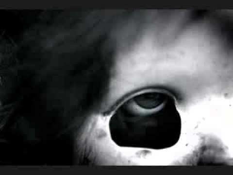 Sian - Sacred Geography (Joel Mull The Cove remix)