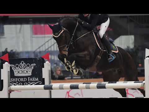 Wotan (12 yo Weltclassicer) CSI** Opglabbeek 2019