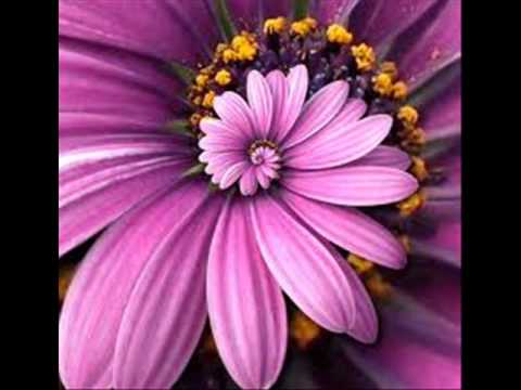 Happy Birthday Georgeta.wmv