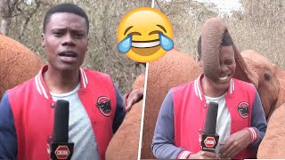 Best Funny Videos 🤣 - People Being Idiots | 😂 Try Not To Laugh - BY FunnyTime99 🏖️ #6