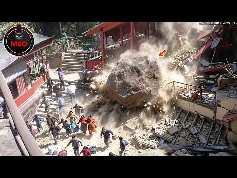 Most Unbelievable Nature Moments Ever Caught on Camera