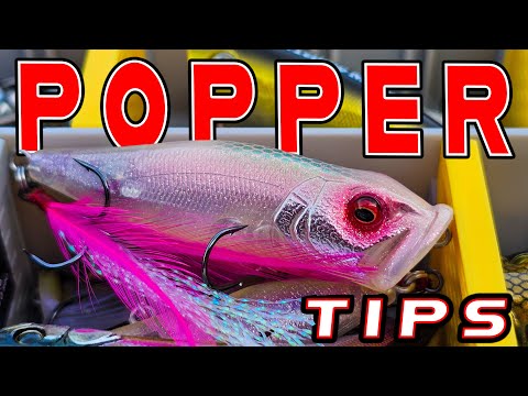 Popper Fishing Tricks! Catch More Bass With This Overlooked Topwater!