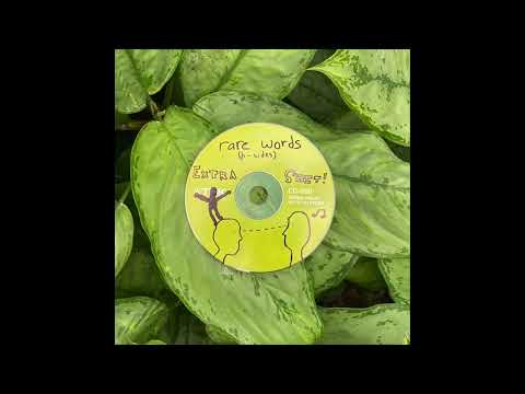 boxboys - rare words (b sides)