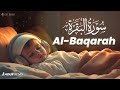 Surah Al Baqarah Full سورة البقره PROTECT YOURSELF FROM EVIL Surah Baqarah Lofi LOFI QURAN